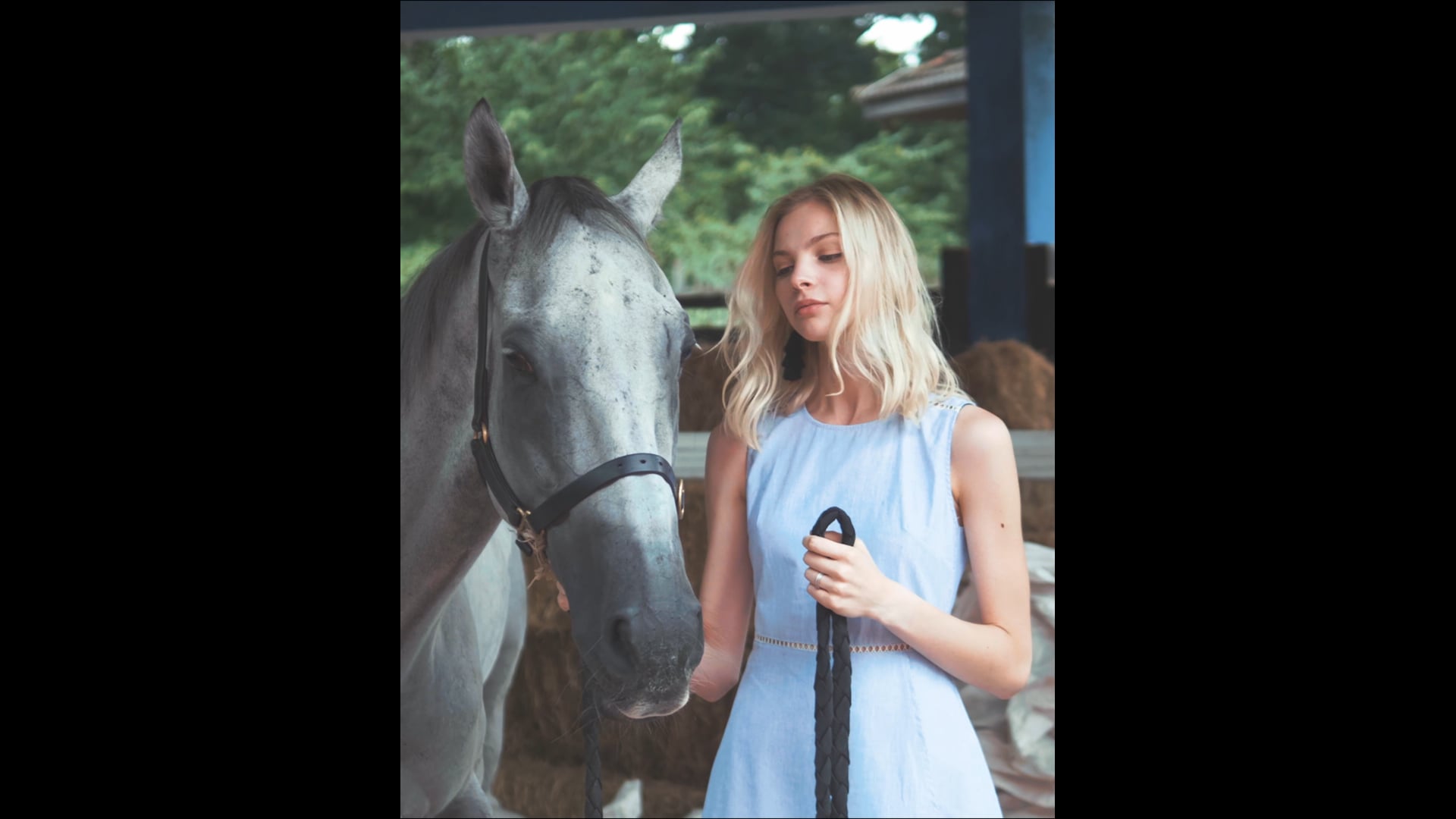 OSMOSE Promotional Video