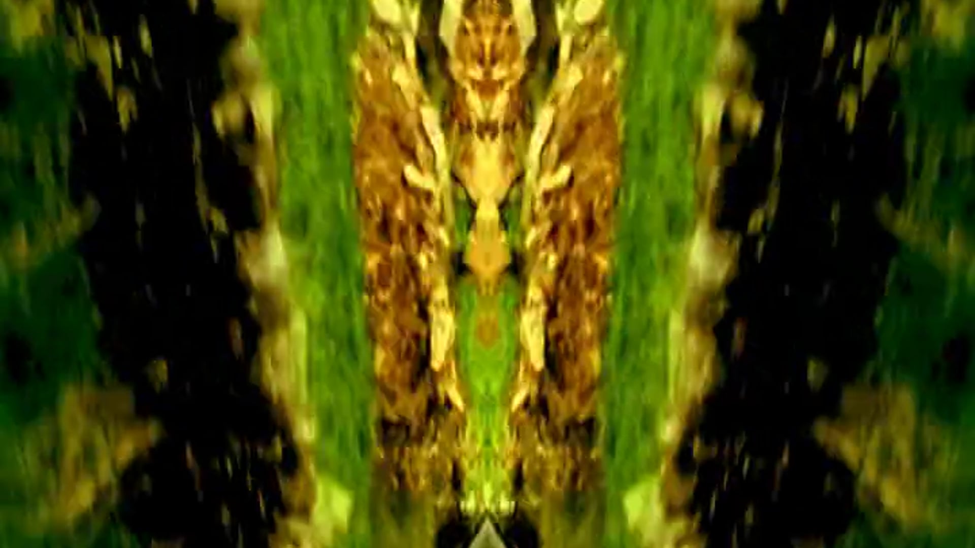 the slate pipe banjo draggers - no it wasn't