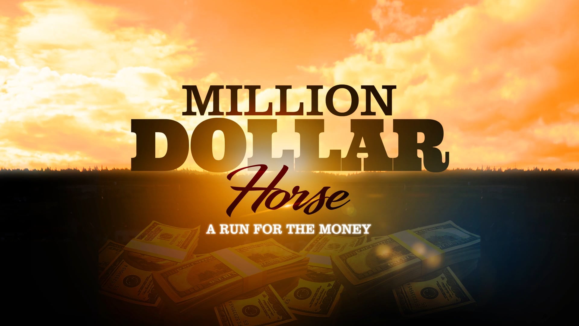 Million Dollar Horse Trailer