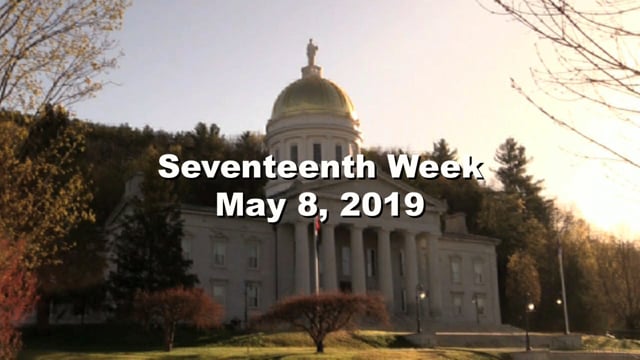 Under The Golden Dome 2019 Week 17