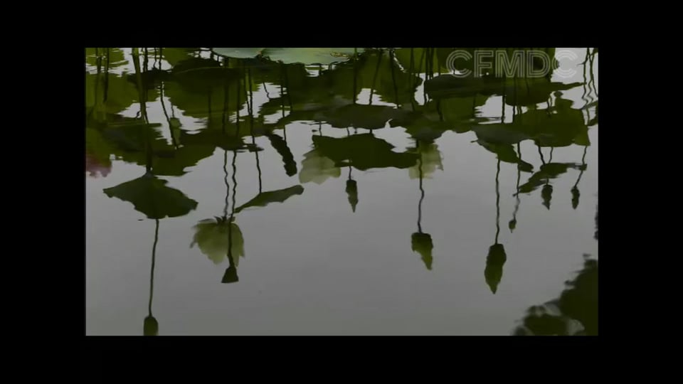 by the lotus