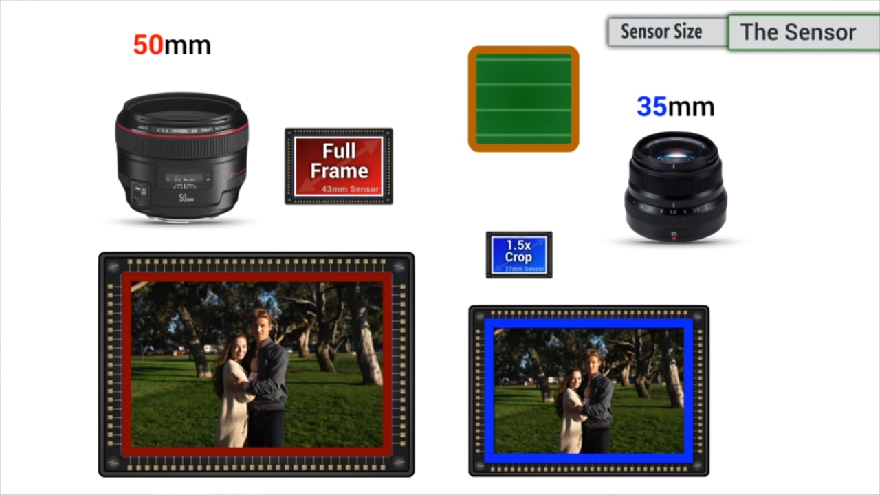 The Sensor - John Greengo’s Camera 101 Masterclass - The Portrait System