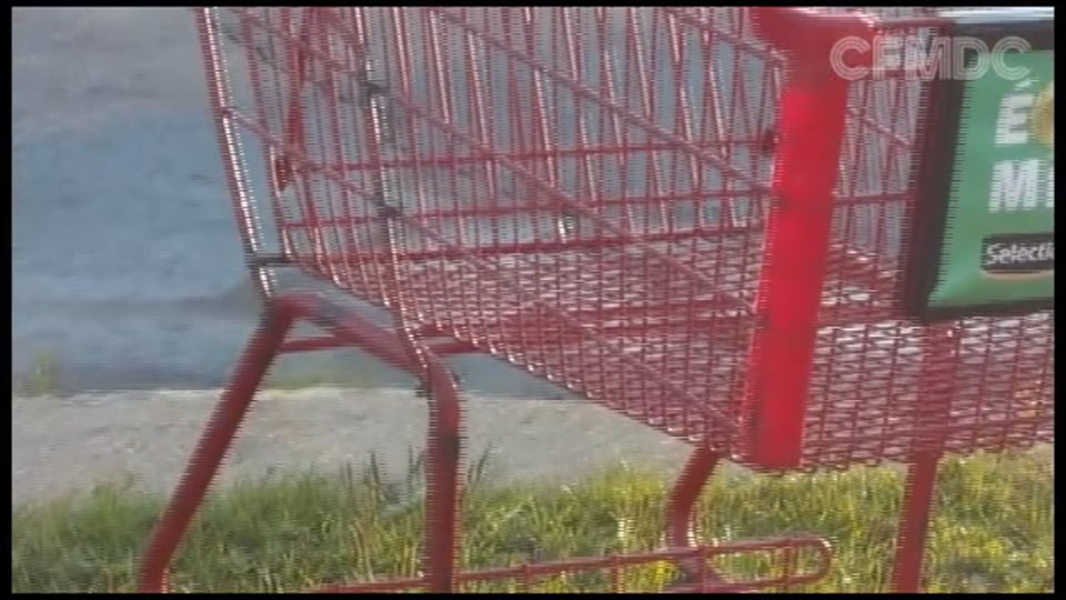 Shopping Cart