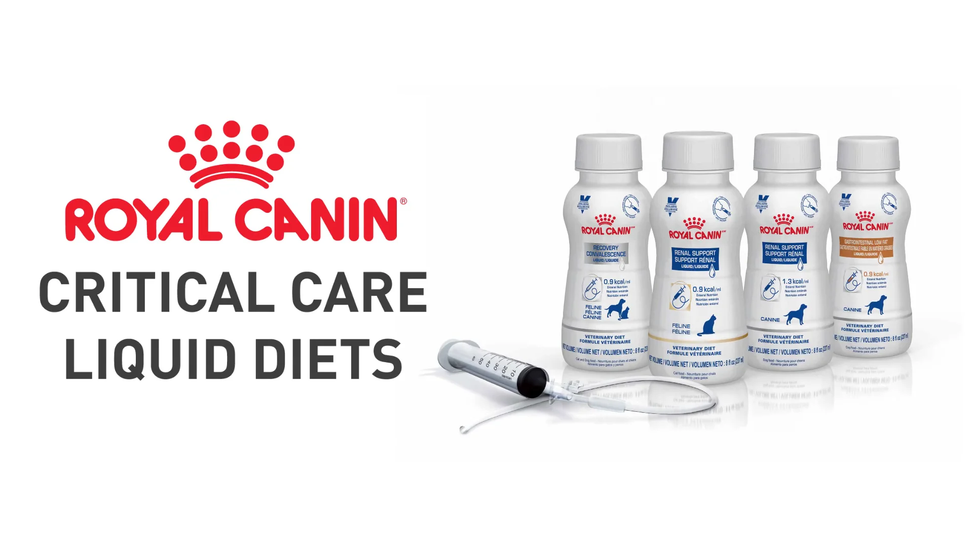 Royal canin 2025 critical care diet