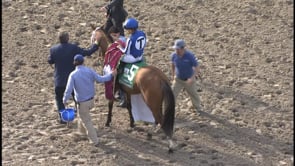 By My Standards | 2019 Louisiana Derby (G2)