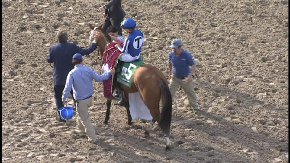 By My Standards | 2019 G2 Louisiana Derby