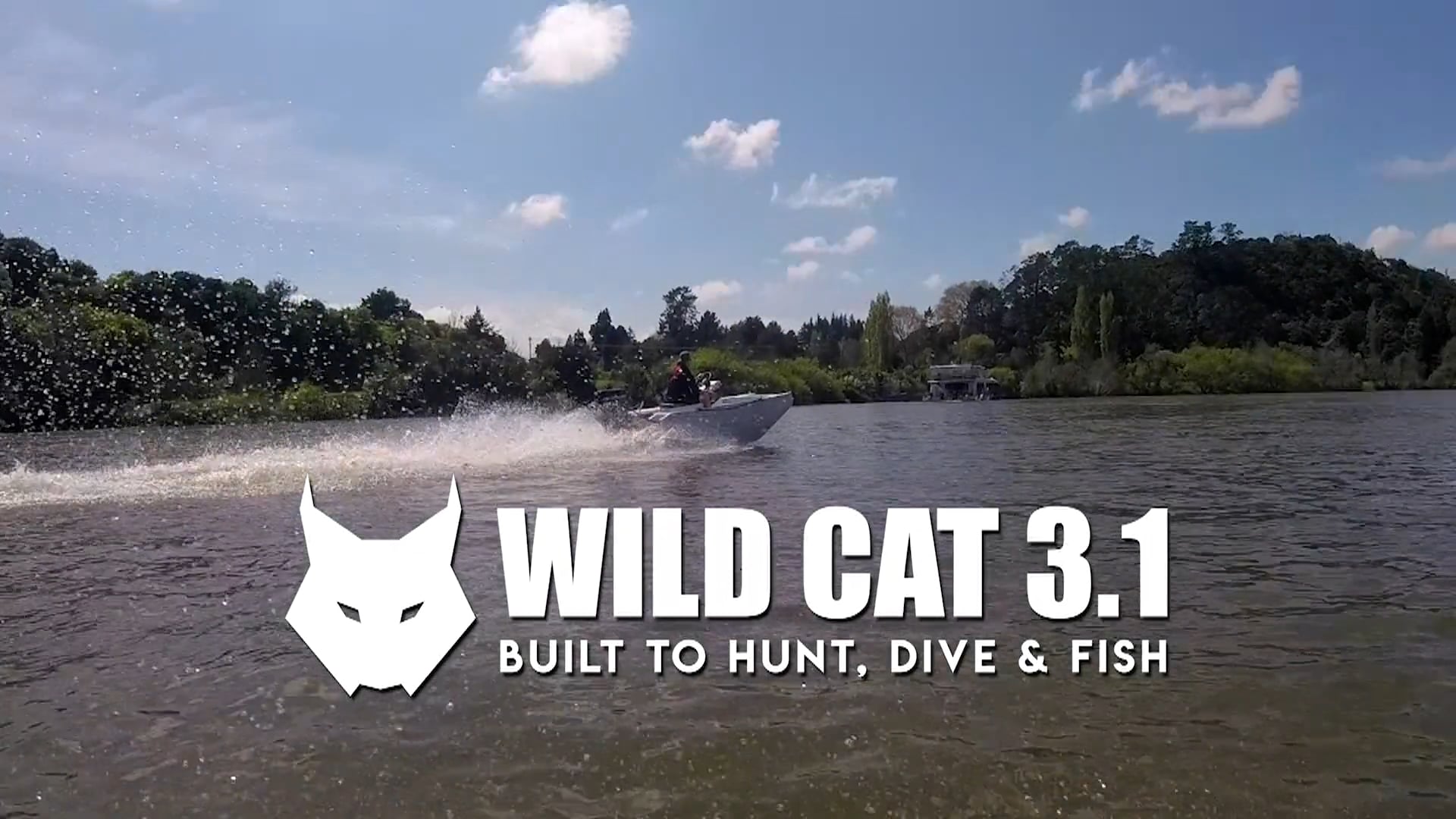 Wild Cat 3.1 promo 33s