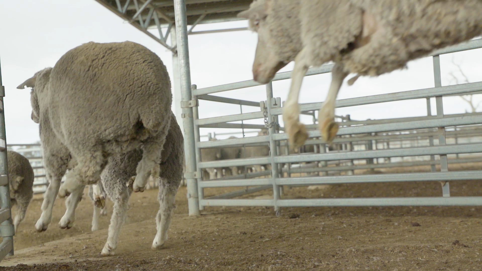 Farm2Fork Highlights