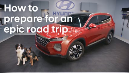 Hyundai Helpers