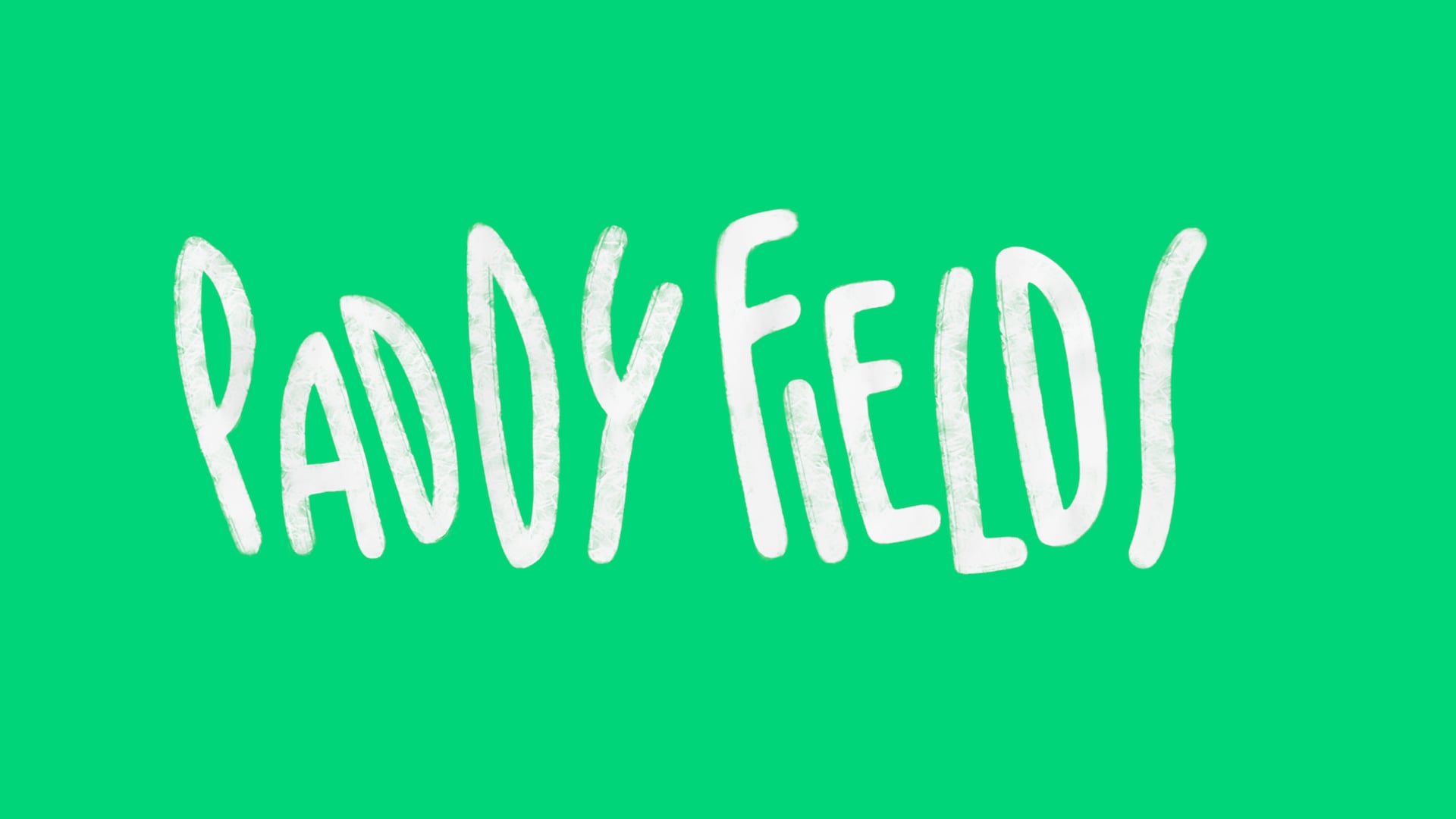 Paddy Fields | Animated Logo