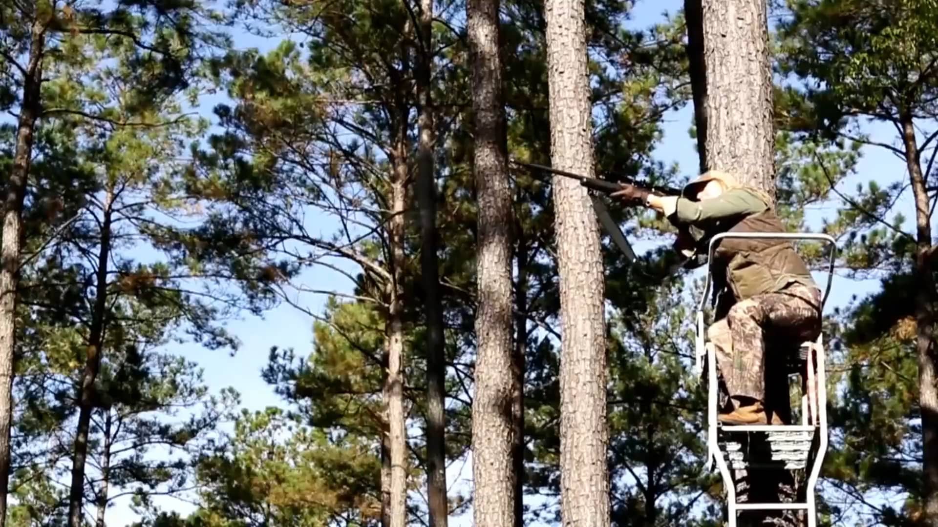 Oak Hill Plantation on Vimeo