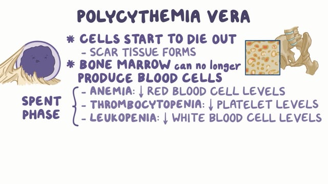 Polycythemia or Too Many Red Blood Cells