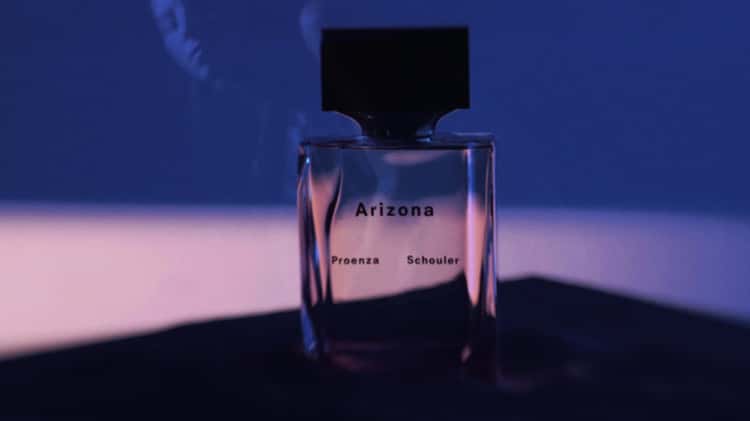 PROENZA SCHOULER ARIZONA DIRECTOR S CUT