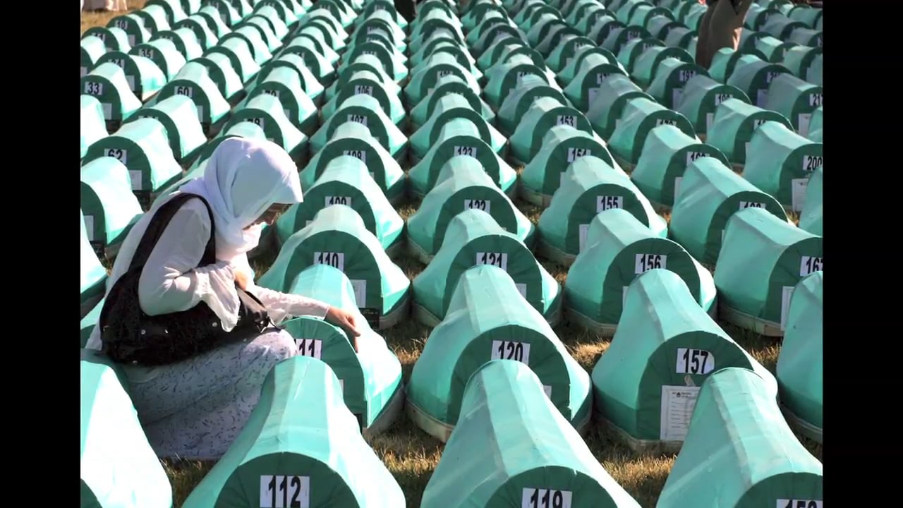The Serbian Lawyer (documentary, 2014)