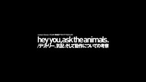 2枚目のスライドを表示
