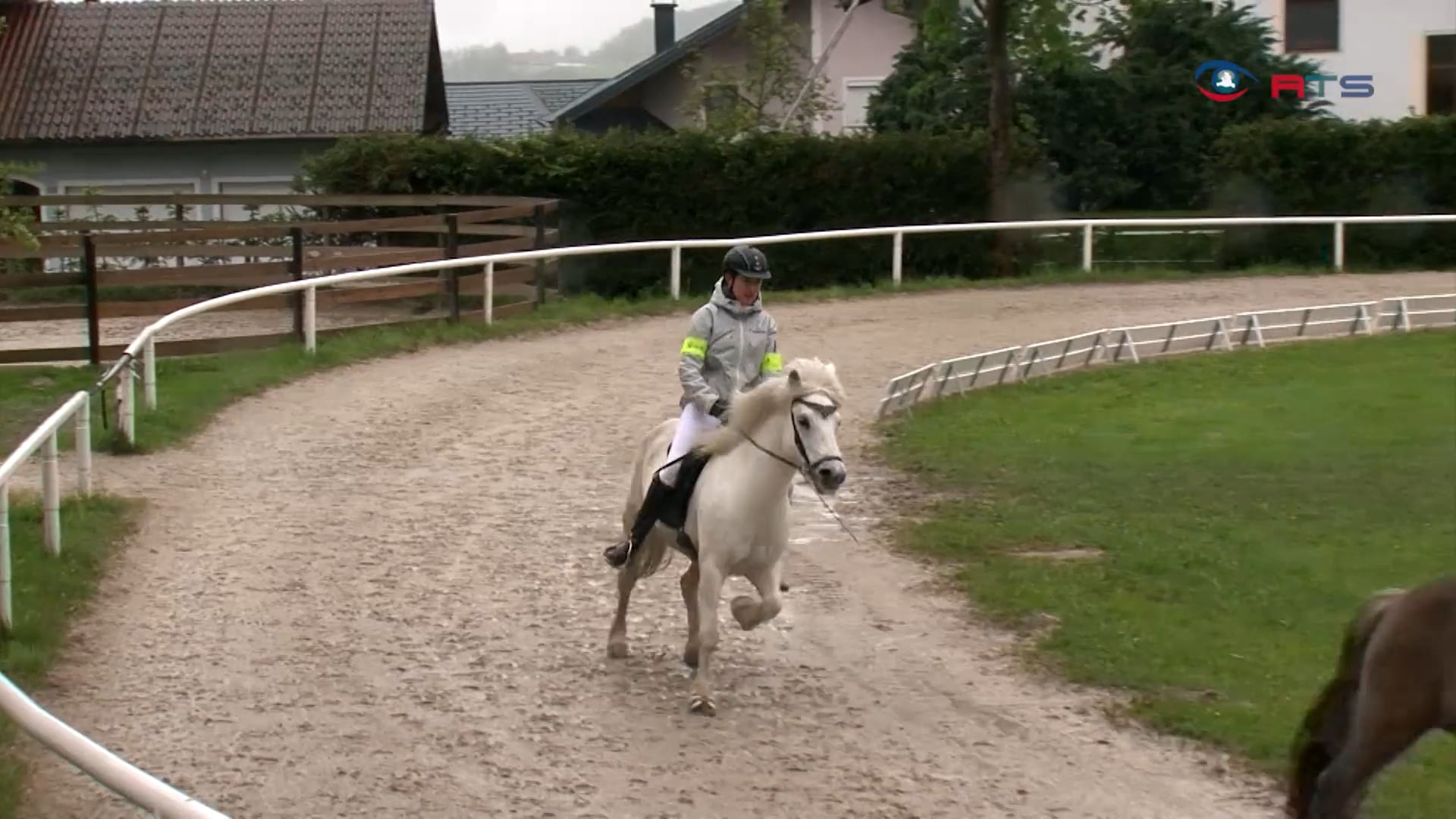salzburger-meisterschaft-der-islandpferde-2019