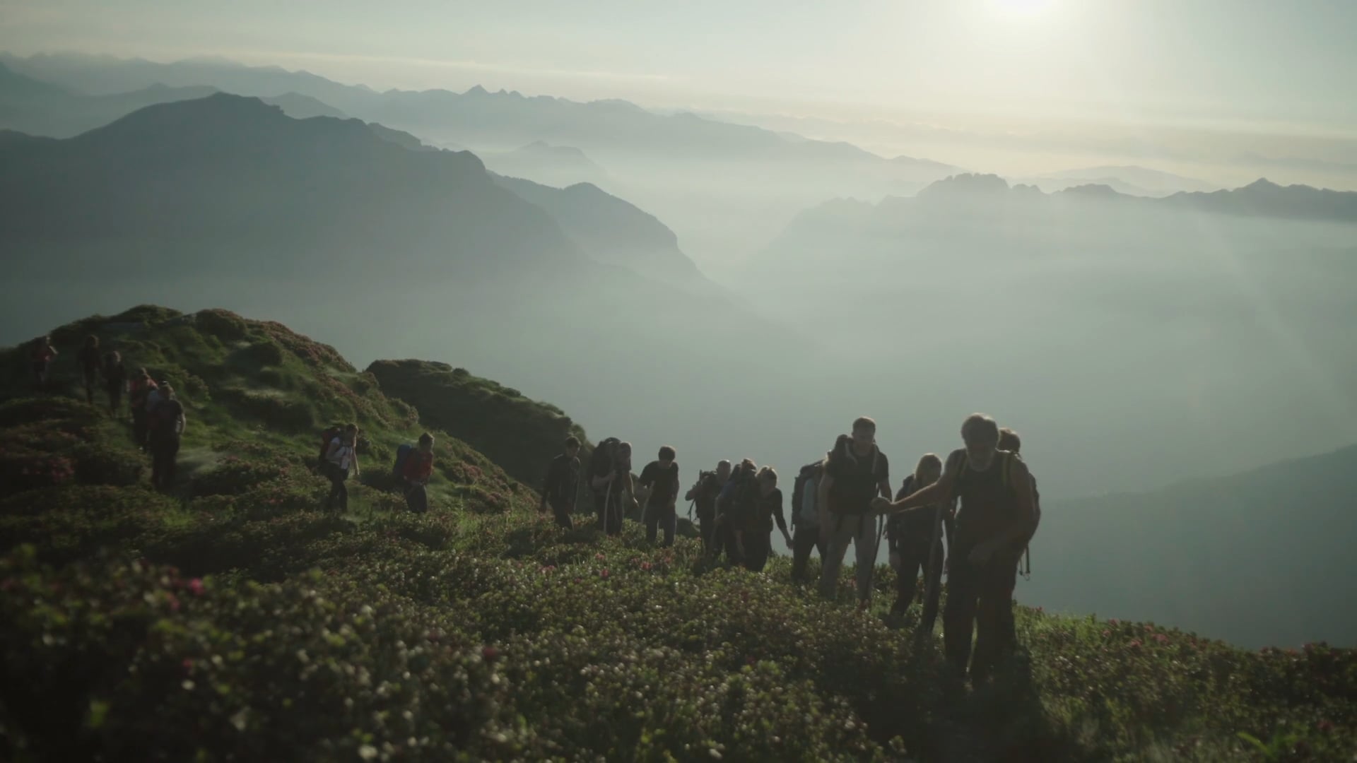 Alpe Selvaccia - The Healing Mountain