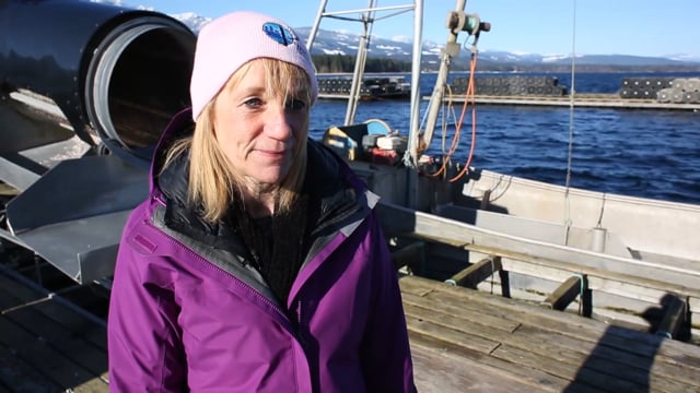 Paradise Oyster Farm Video Profile