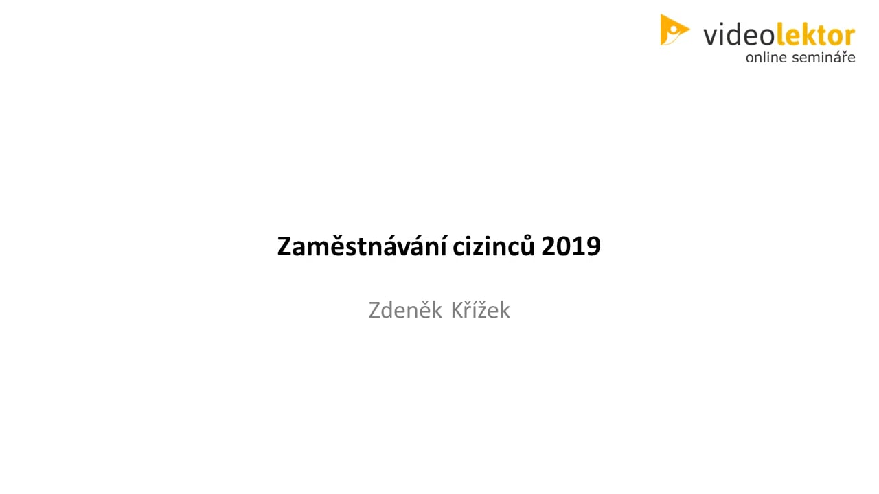 Zaměstnávání cizinců 2019