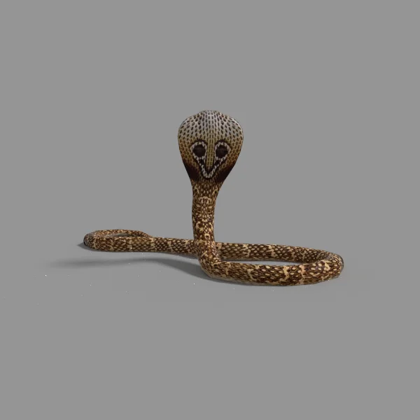 727 Prancha de cobra 3D - Prancha de cobra Renderizações 3D - Envato  Elements