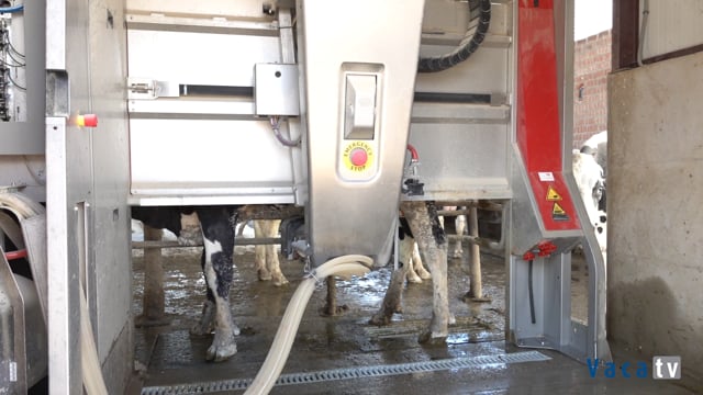 SC Las Viadas robotiza o muxido con Lely