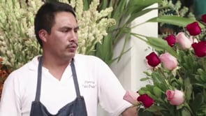 Los trabajos y los días Cap 9 "La última y nos vamos"