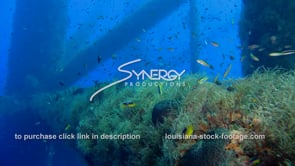 471 underwater ecosystem under oil platform 2