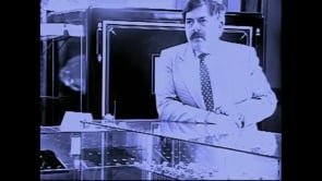 De Puro Gusto: En cuestión de Vestido