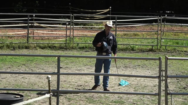 December 2022 Tip of the Month; Requirements for colt starting