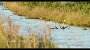 583 canal in the marsh Louisiana coastal erosion video stock footage​