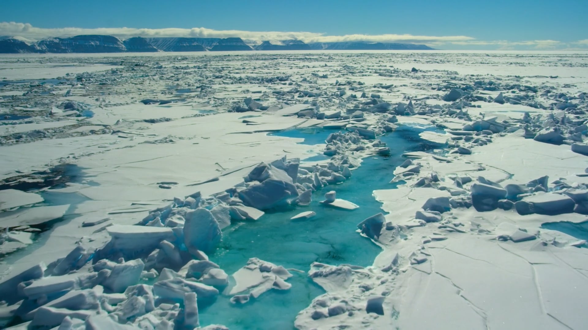 Dolby SOHO Presents: Netflix: Our Planet