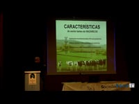 Produción de leite no Xallas e comarcas limítrofes