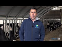 “Kaliber es sinónimo de animales saludables, con grandes estructuras y muy equilibrados”