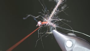 Related Embedded Video Item Thumbnail