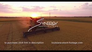 754 Nice shot rice farmer harvesting video during sunset drone aerial view stock footage