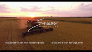 757 Awesome aerial drone ascent of rice harvest