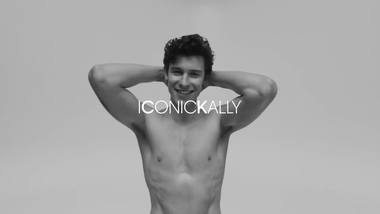 shawn mendes x calvin klein