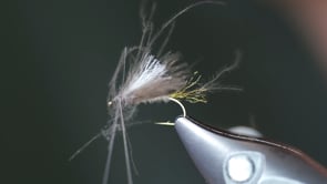 Related Embedded Video Item Thumbnail