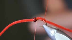 Related Embedded Video Item Thumbnail