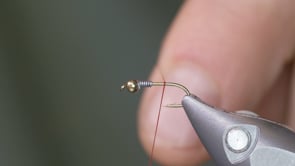 Related Embedded Video Item Thumbnail