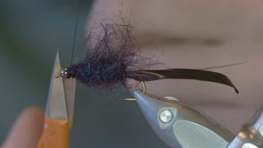 Related Embedded Video Item Thumbnail