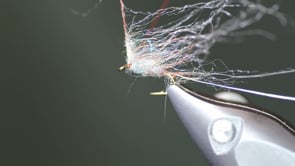 Related Embedded Video Item Thumbnail