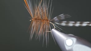 Related Embedded Video Item Thumbnail