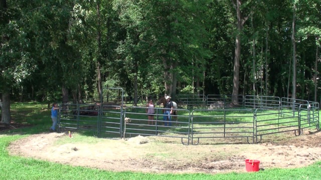 August 2022 Tip of the Month; The greatest horse-person in the world once knew nothing about horses.