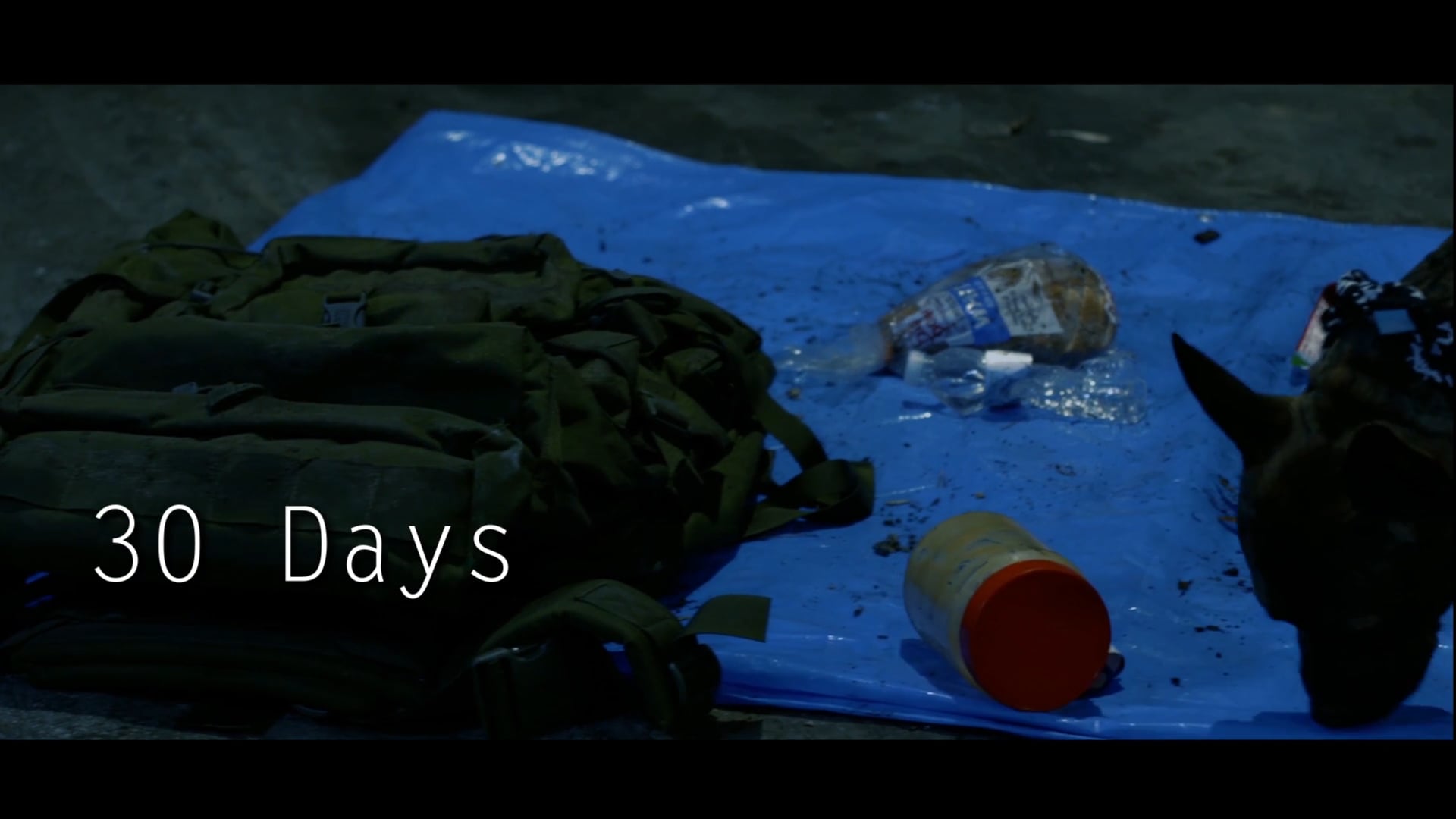 30 Days