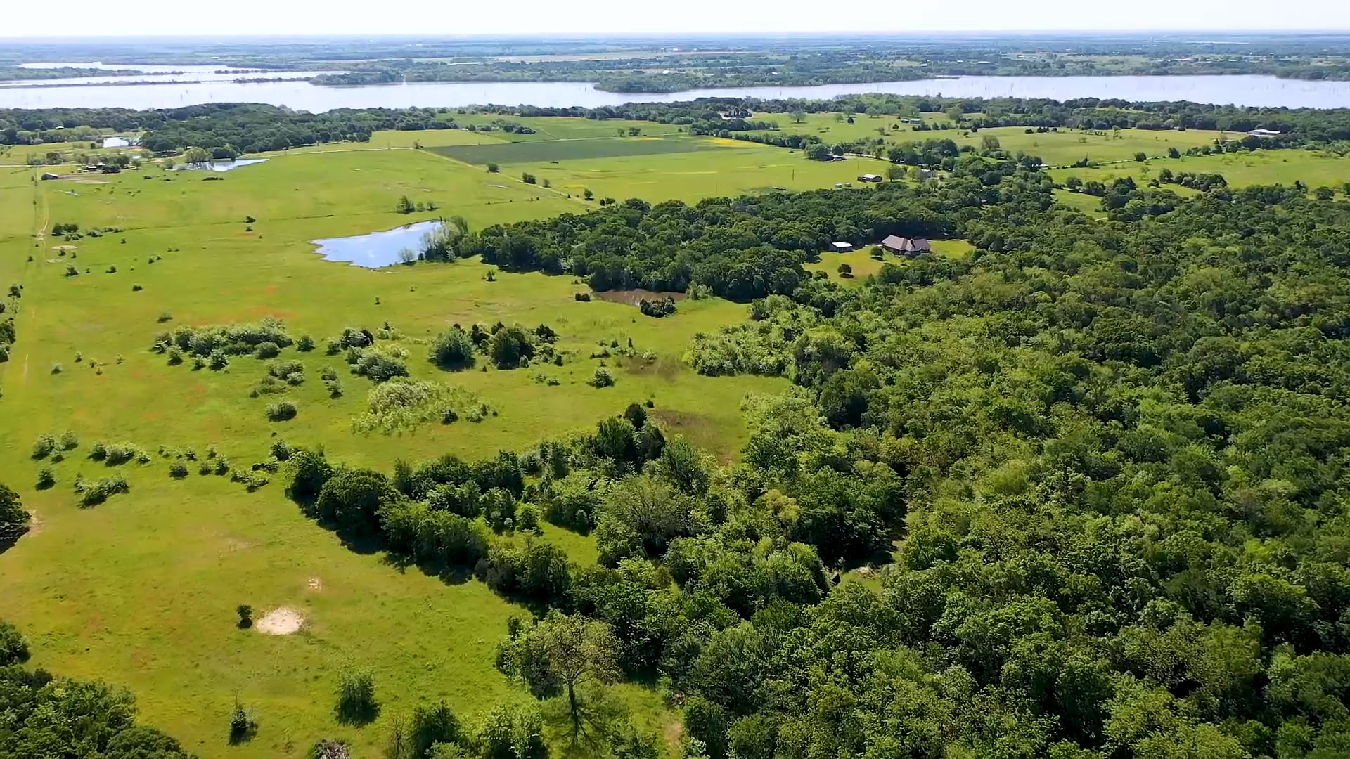 1083 Pop Noah Collinsville