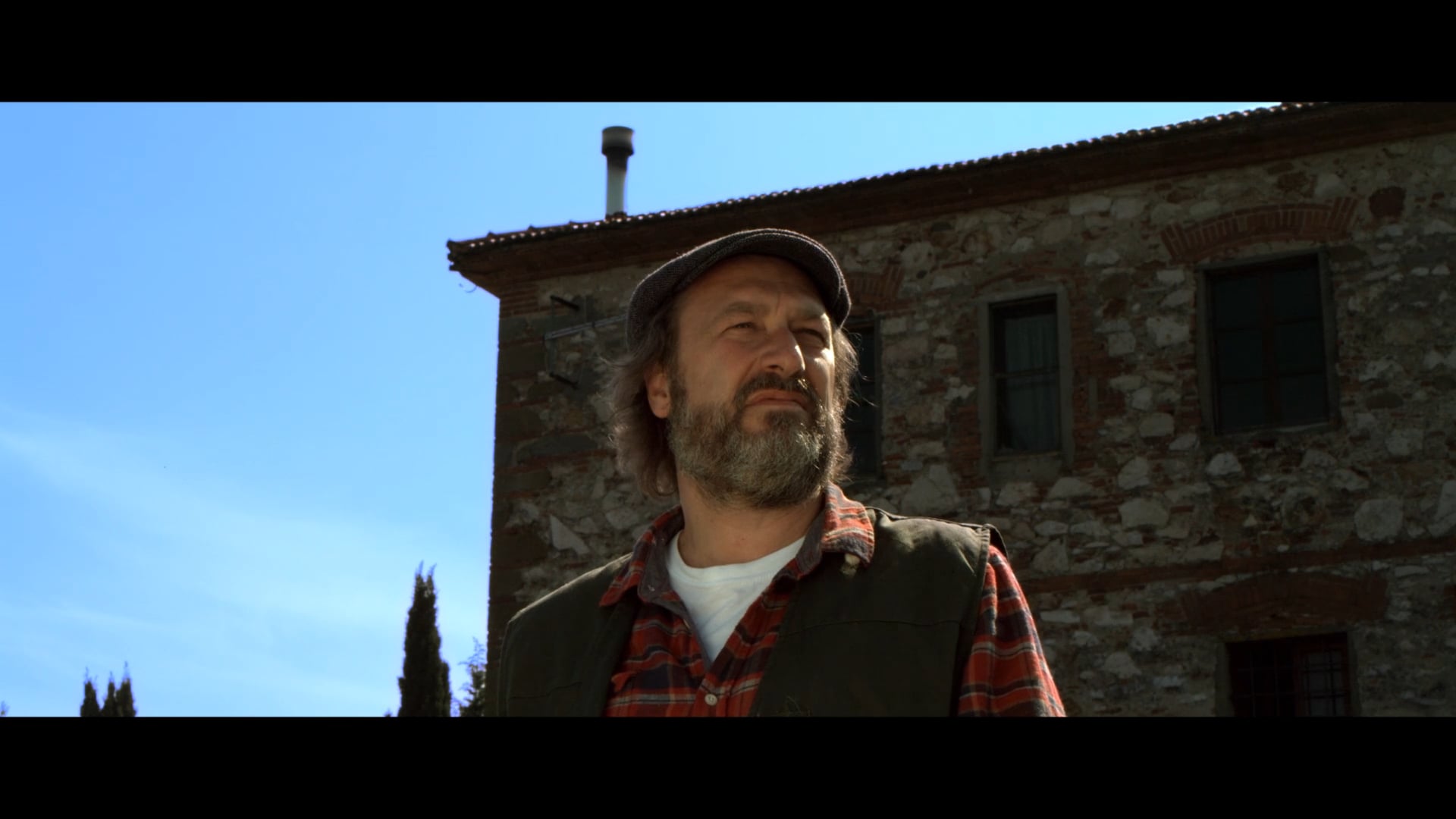 Mai dare un fucile a un'oca