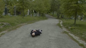 Viceland - Customer Success Story