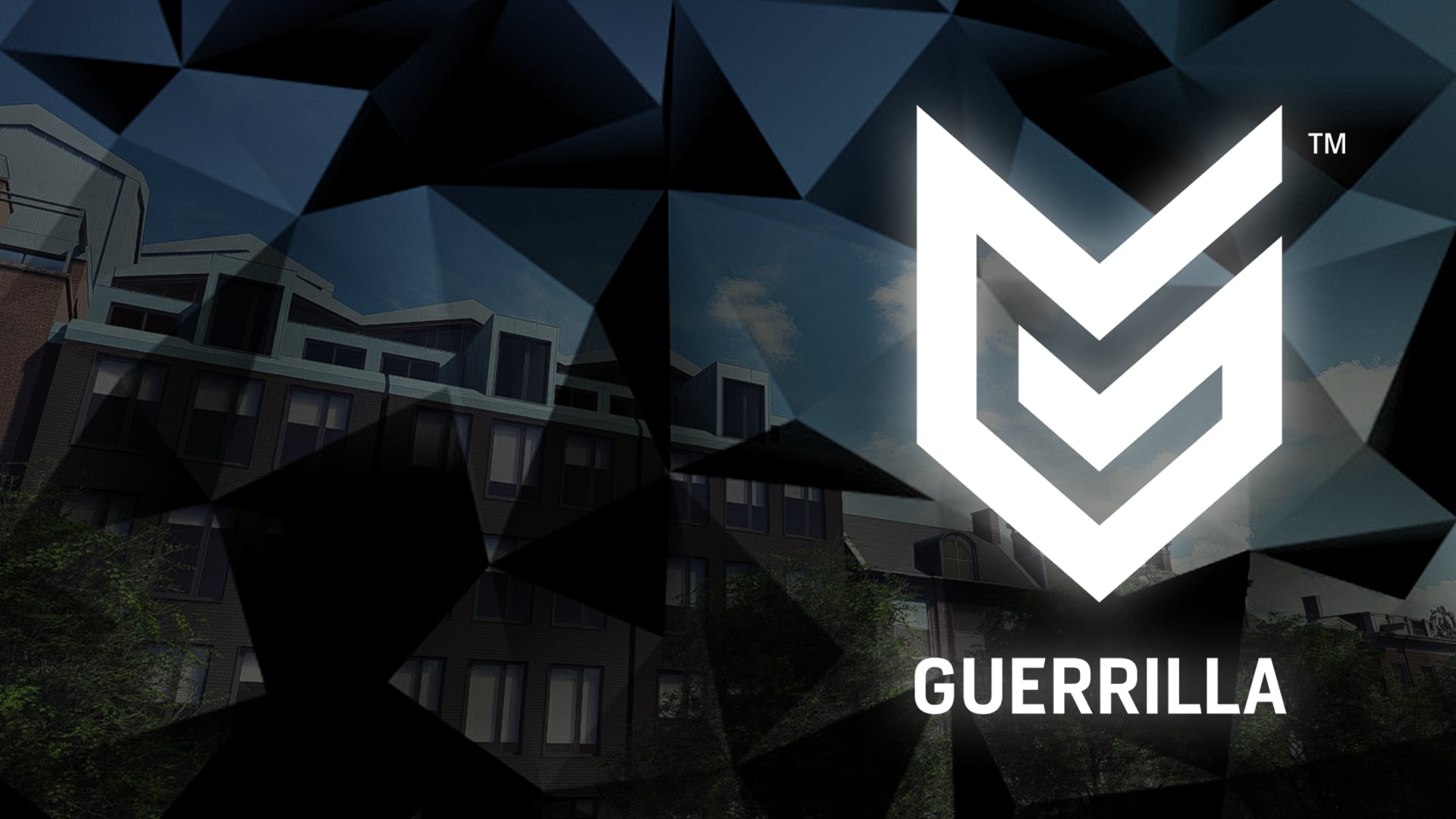 Guerrilla games проекты