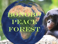 Bonobo Peace Park
